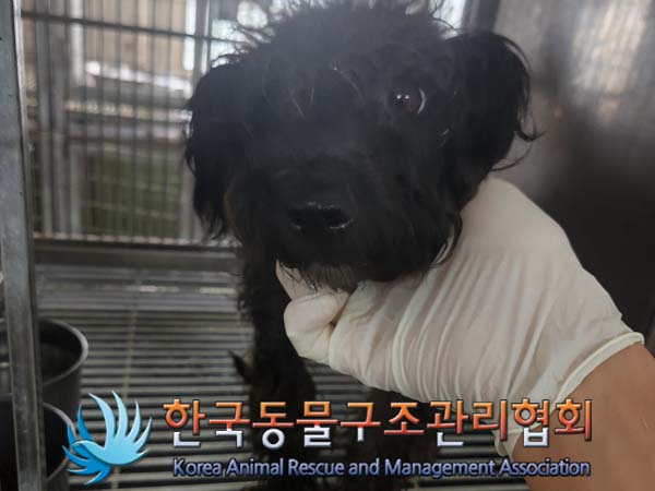 한국동물구조관리협회_441560202401141